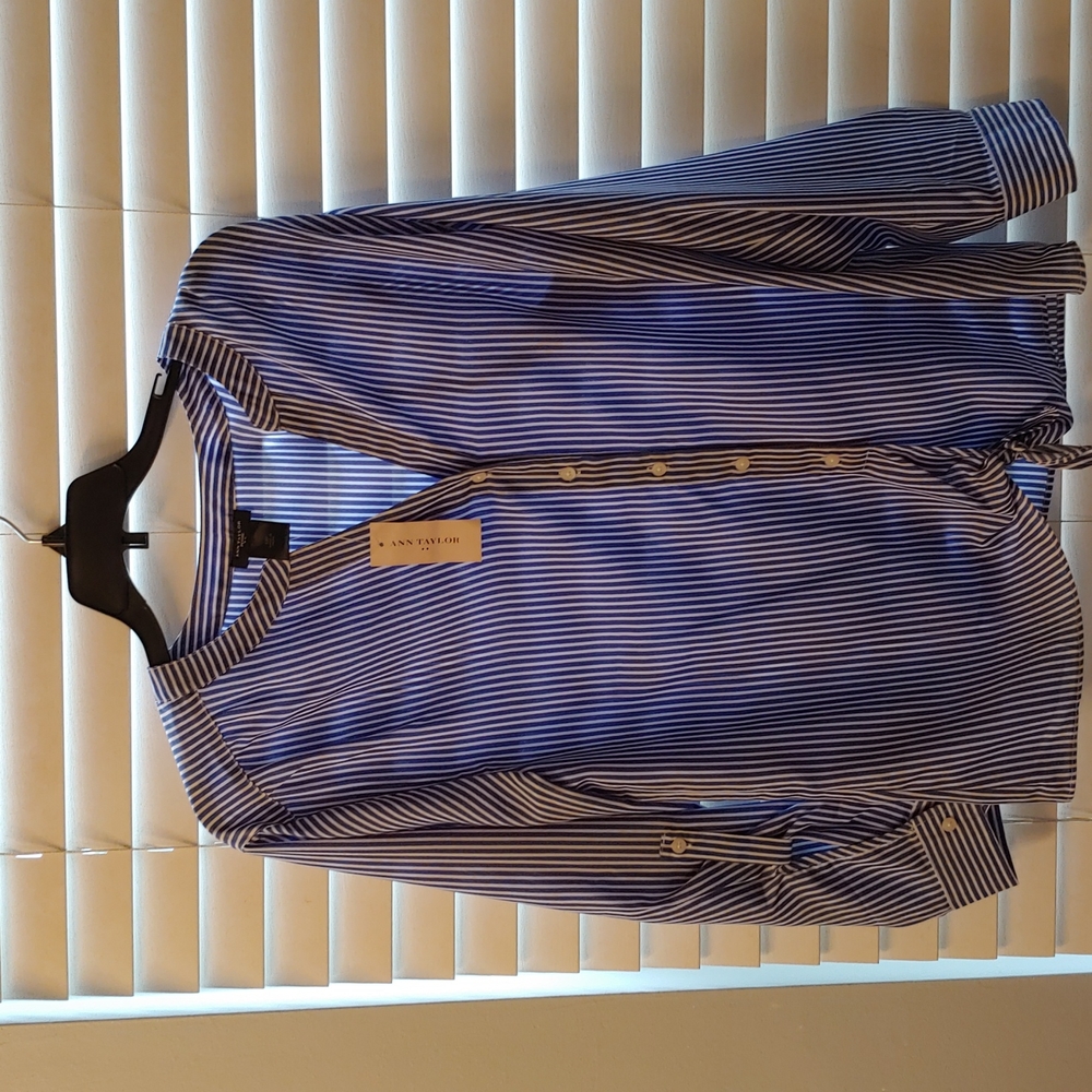 Ann Taylor size MP blue and white stripped top